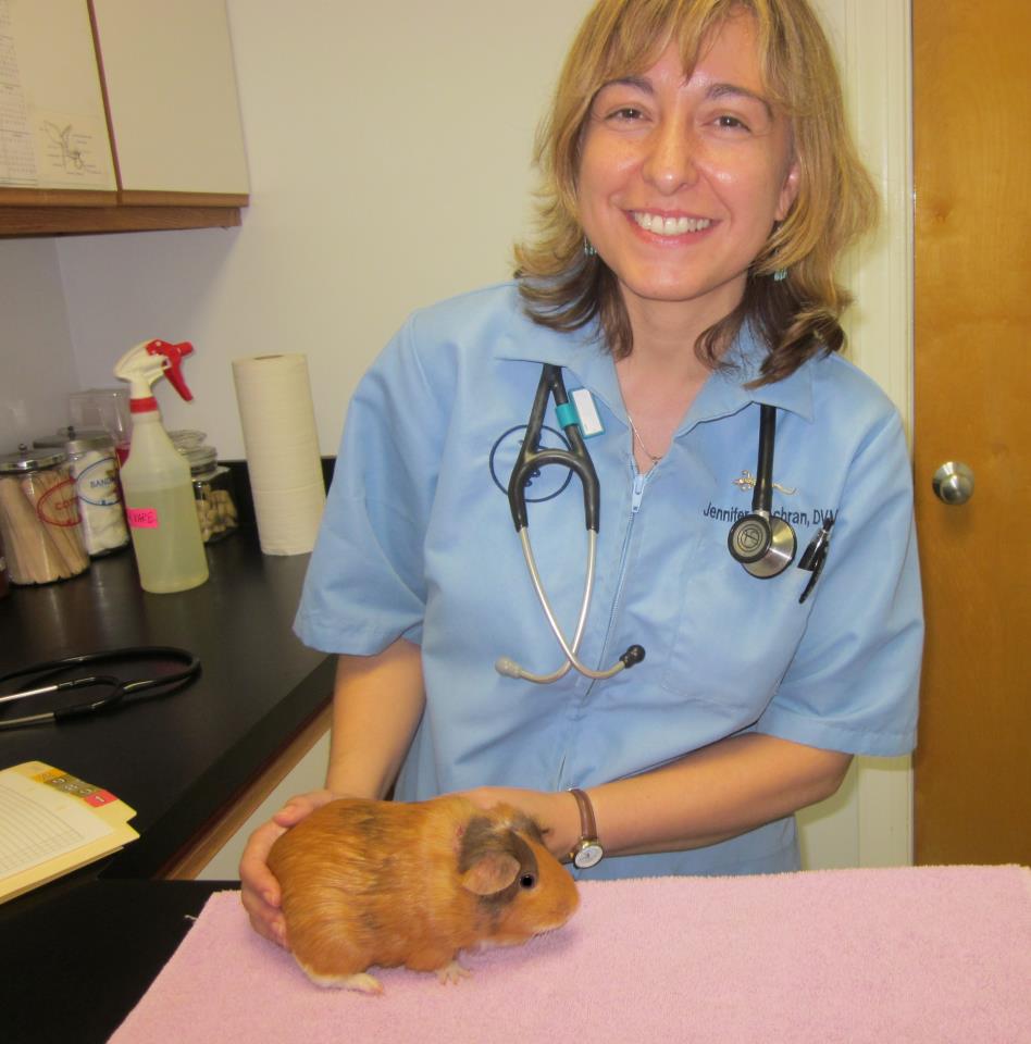 Dr. Cochran with guinea pig