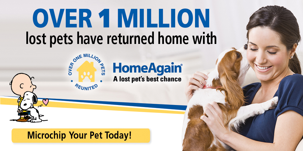 HomeAgain Banner ad